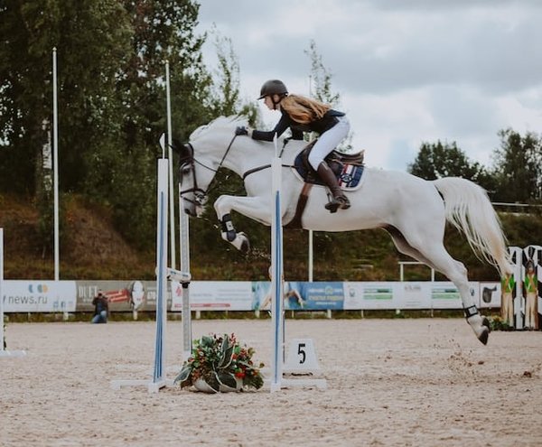 Équitation sportive : guide complet des disciplines, compétitions et astuces pour cavaliers passionnés